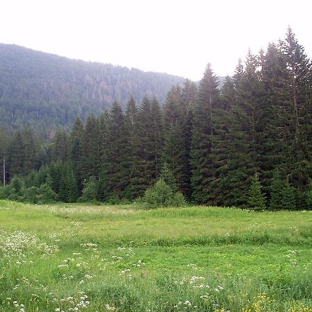 Chalet Sanjam Liku Villa Buzim Cameră foto