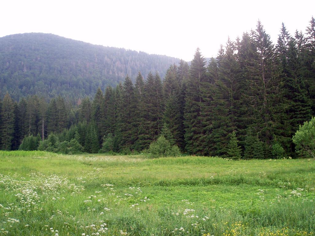 Chalet Sanjam Liku Villa Buzim Cameră foto